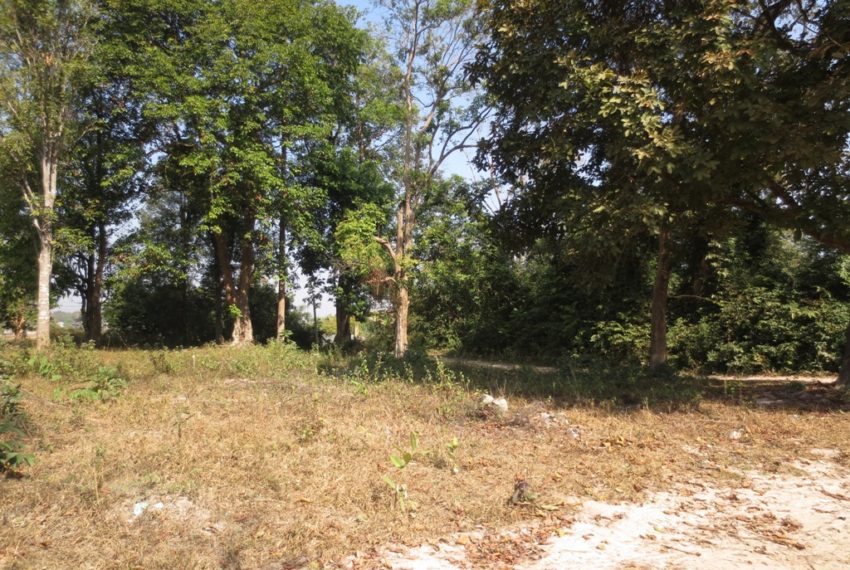 Land for Sale (7)