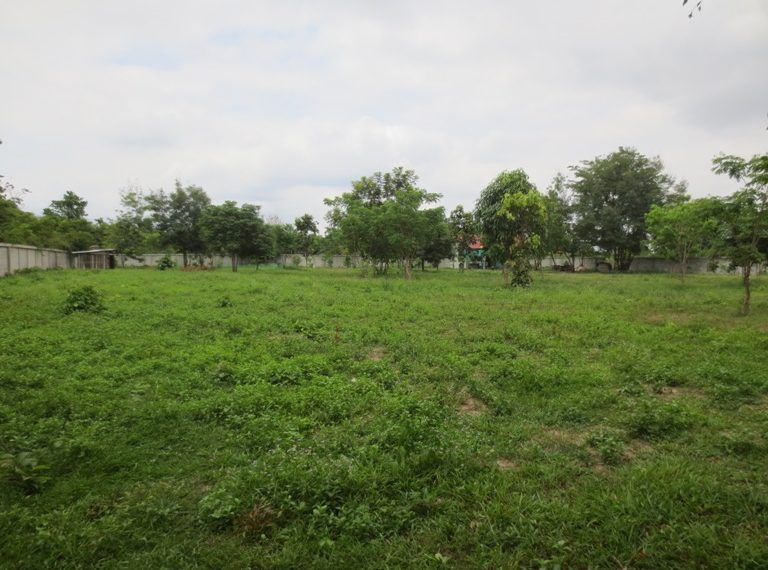 Land for Sale (7)