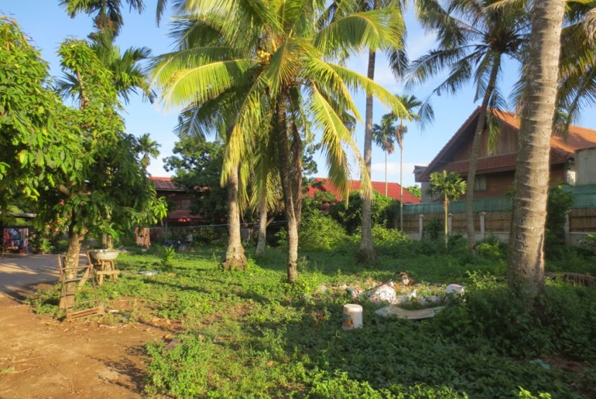 Land for Sale (7)