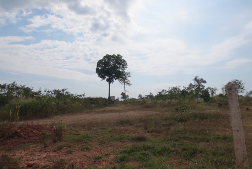 Land for Sale (7)