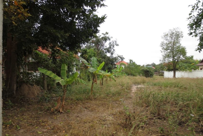 Land for Sale (7)