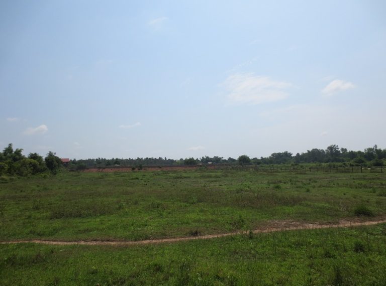 Land for Sale  (8)