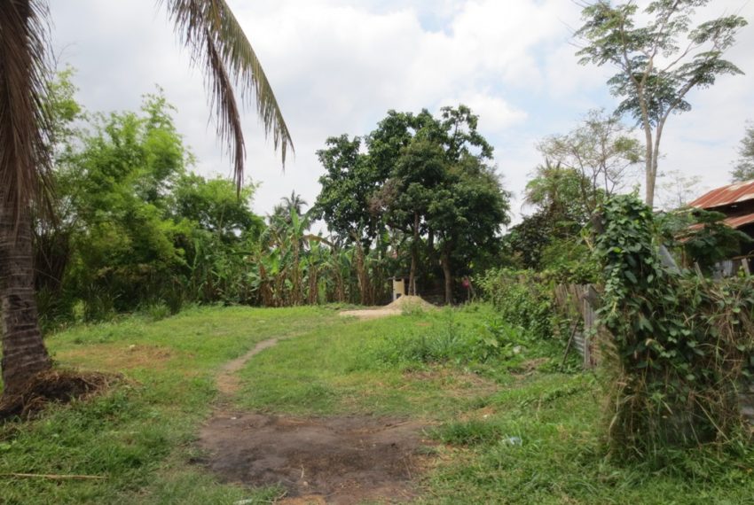 Land for Sale (8)