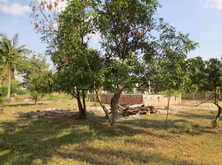 Land for Sale  (8)