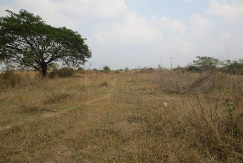 Land for Sale (8)