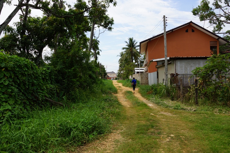Land for Sale (9)