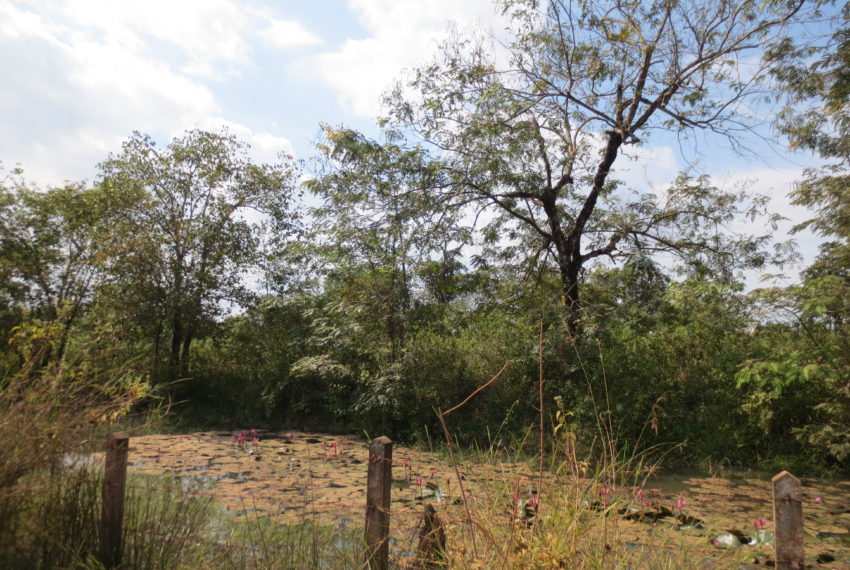 Land for Sale (9)