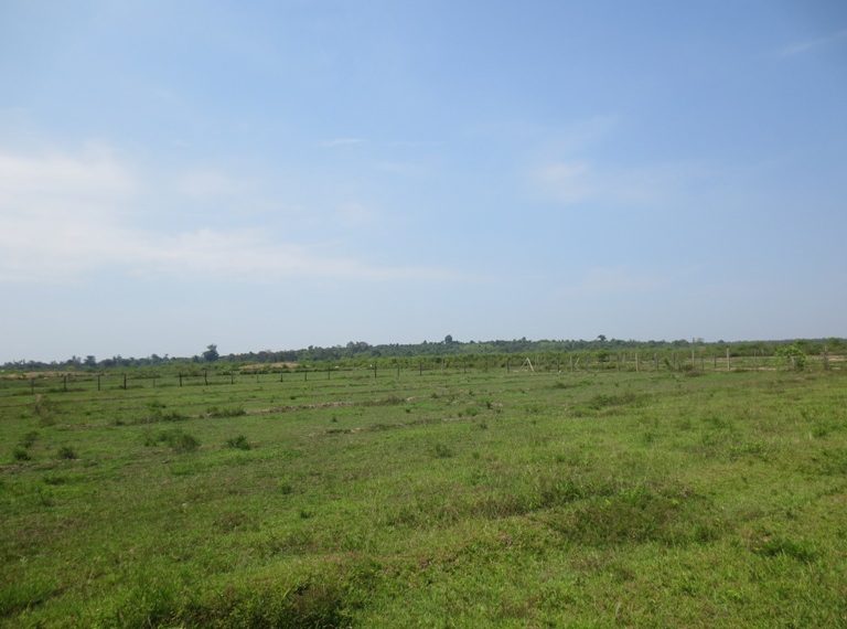 Land for Sale  (9)