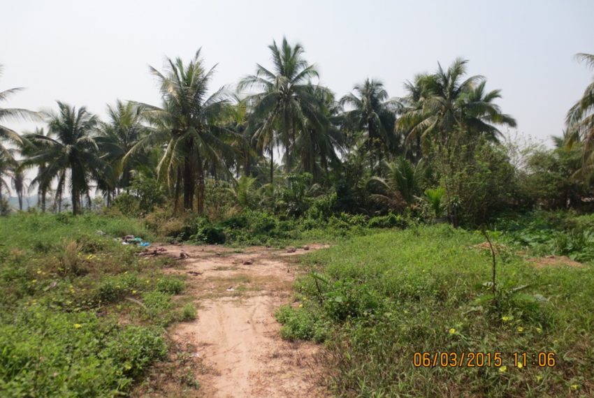 Land for Sale (9)