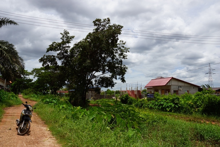 Land for close Daovieng party hall (1)