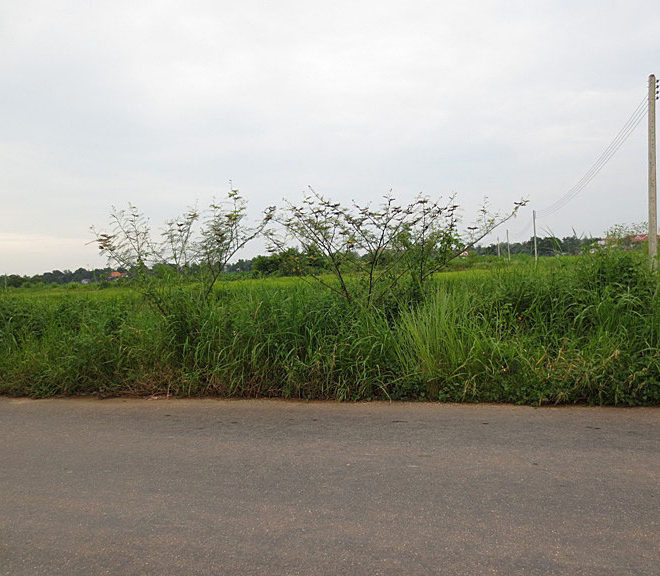 Land for factory in  Laos (2)