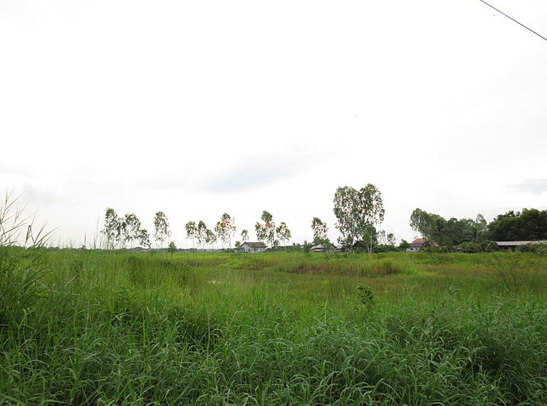 Land for factory in  Laos (4)