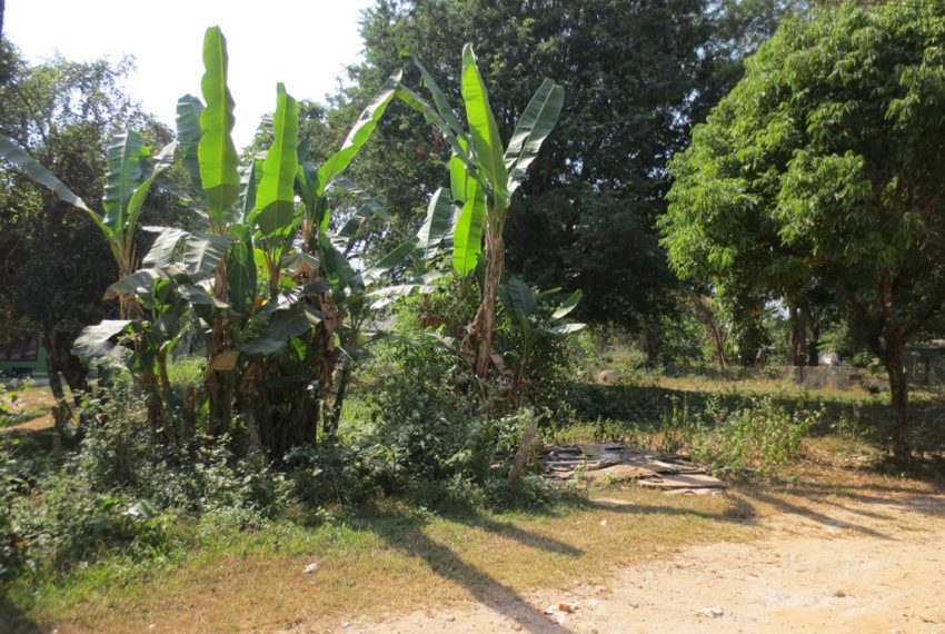 Land for rent(4)