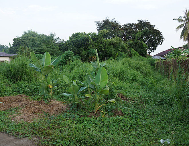 Land for sale (1)