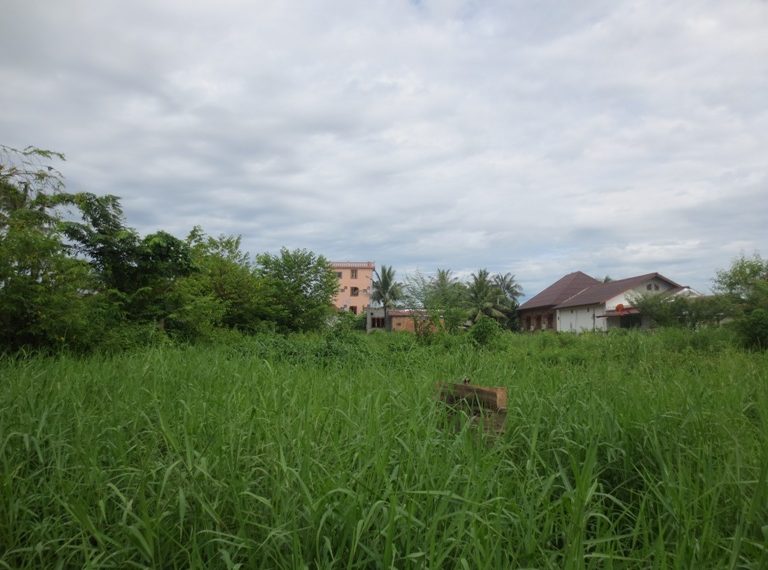 Land for sale (1)