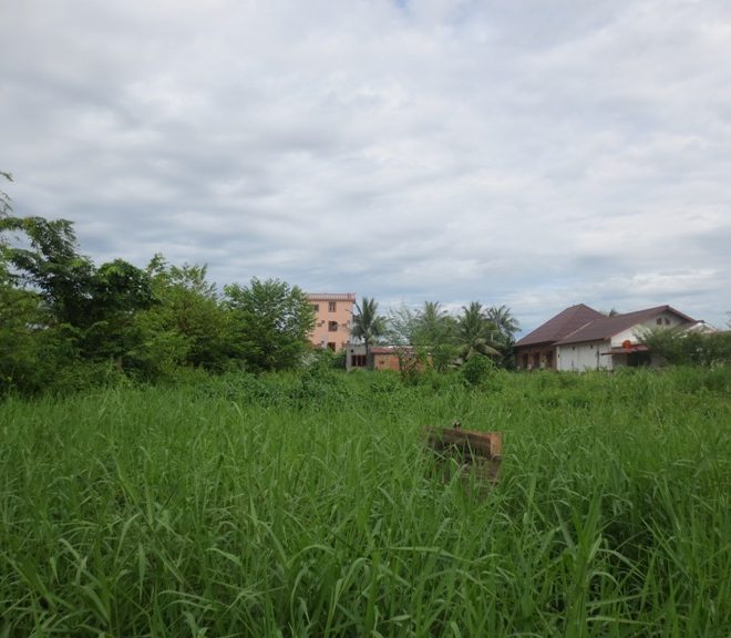 Land for sale (1)