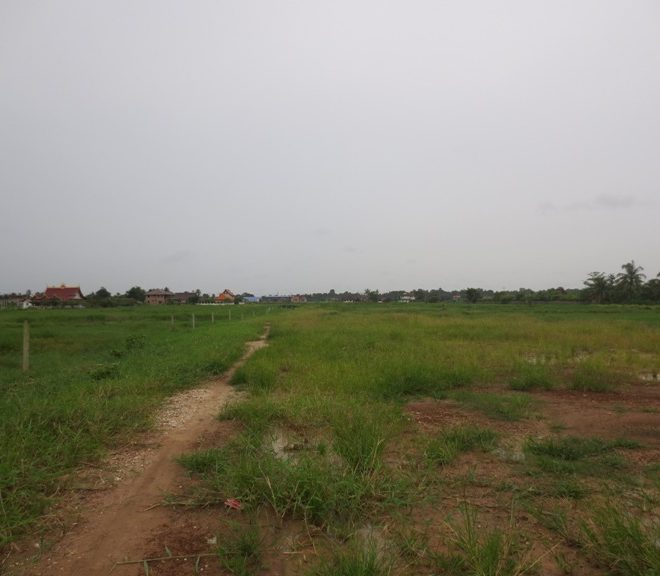 Land for sale (1)