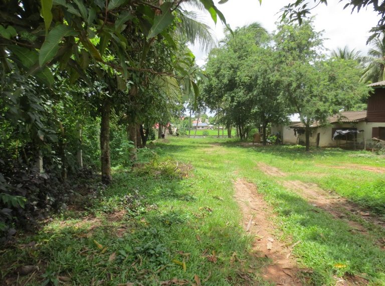 Land for sale (1)