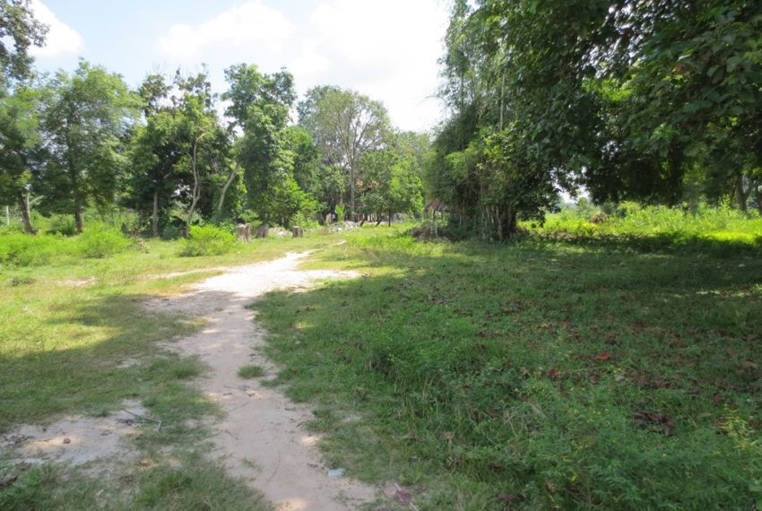 Land for sale (1)