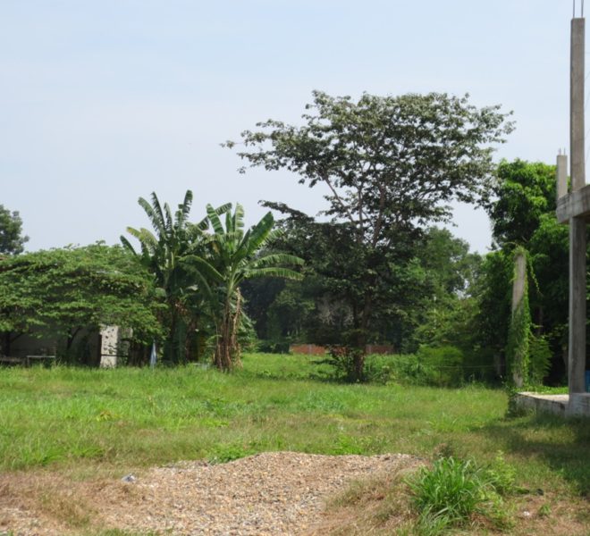 Land for sale (1)