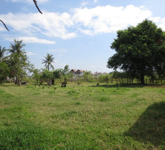 Land for sale (1)