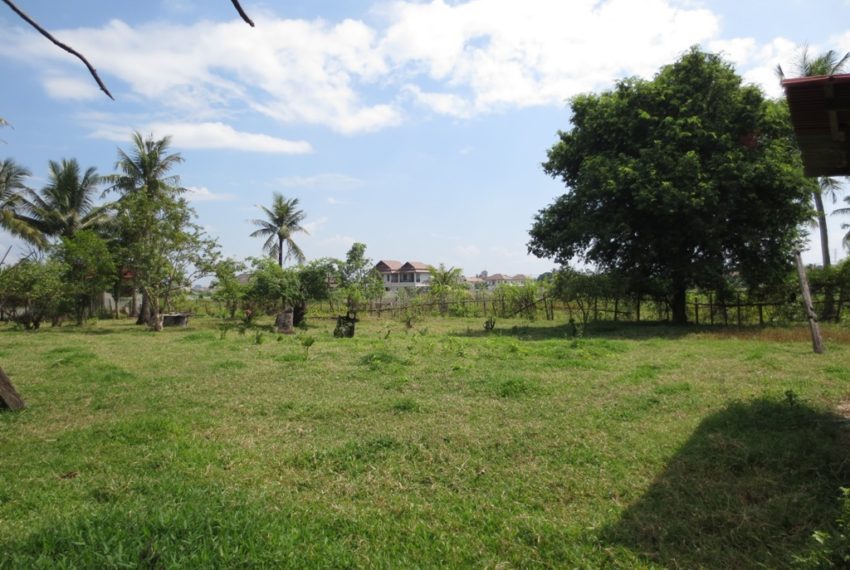 Land for sale (1)