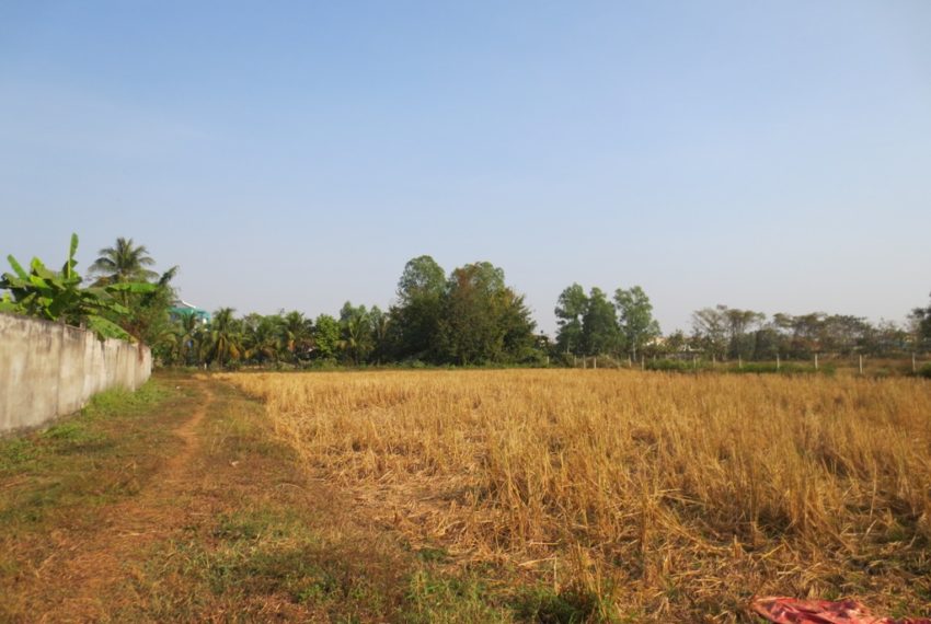 Land for sale (1)