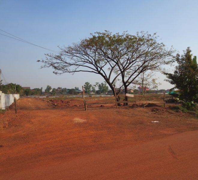 Land for sale (1)