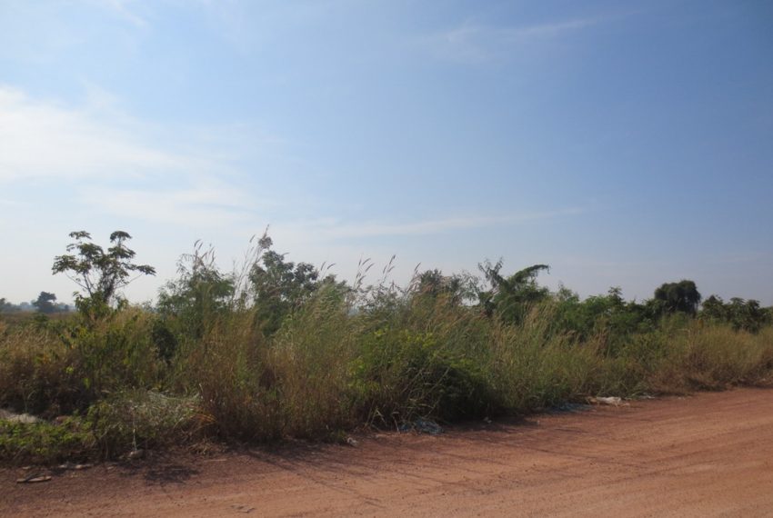 Land for sale (1)