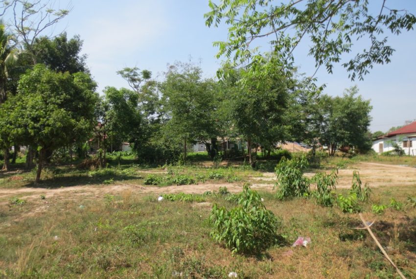 Land for sale (1)