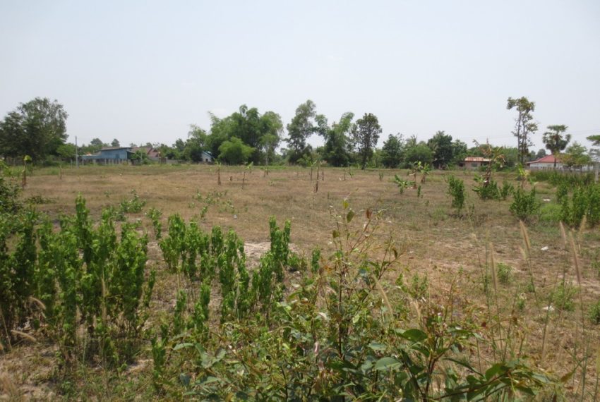 Land for sale (1)