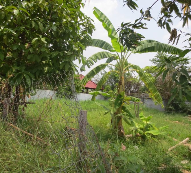 Land for sale (1)