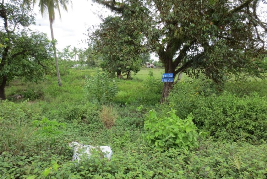 Land for sale (1)