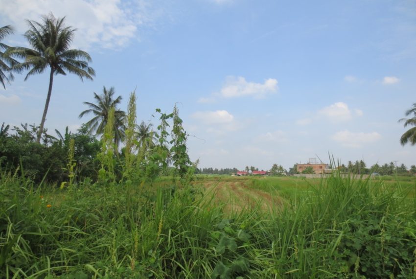 Land for sale (1)