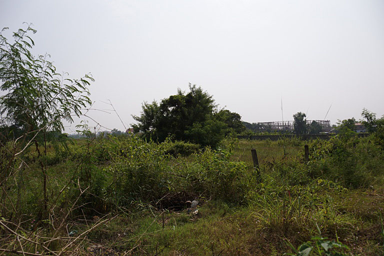 Land for sale (1)