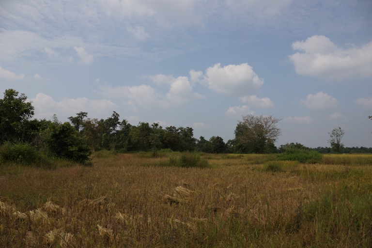 Land for sale  (1)