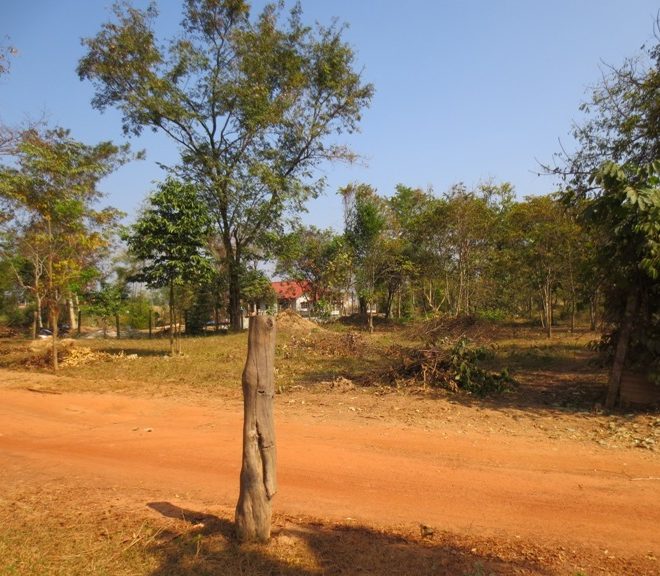 Land for sale (1)