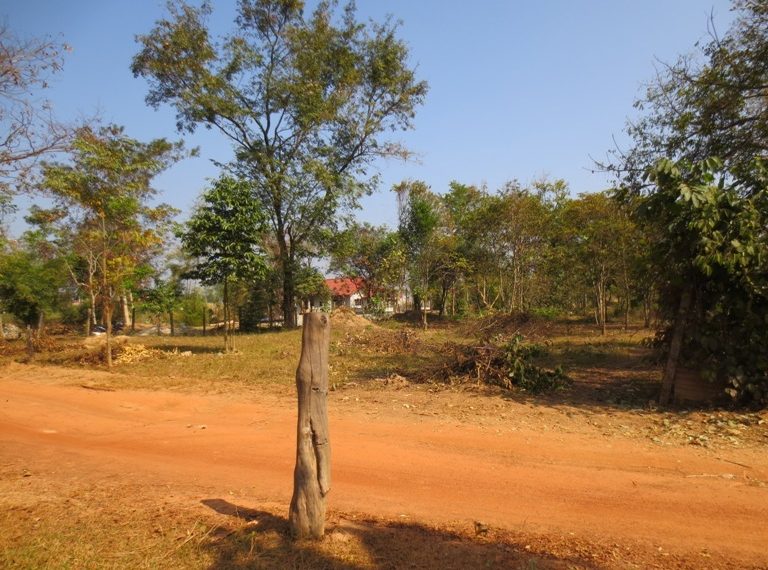 Land for sale (1)