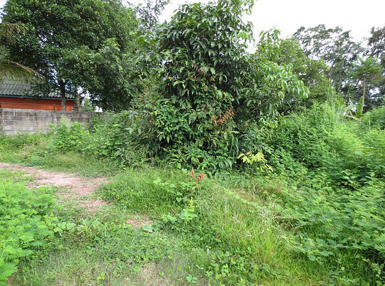 Land for sale (1)