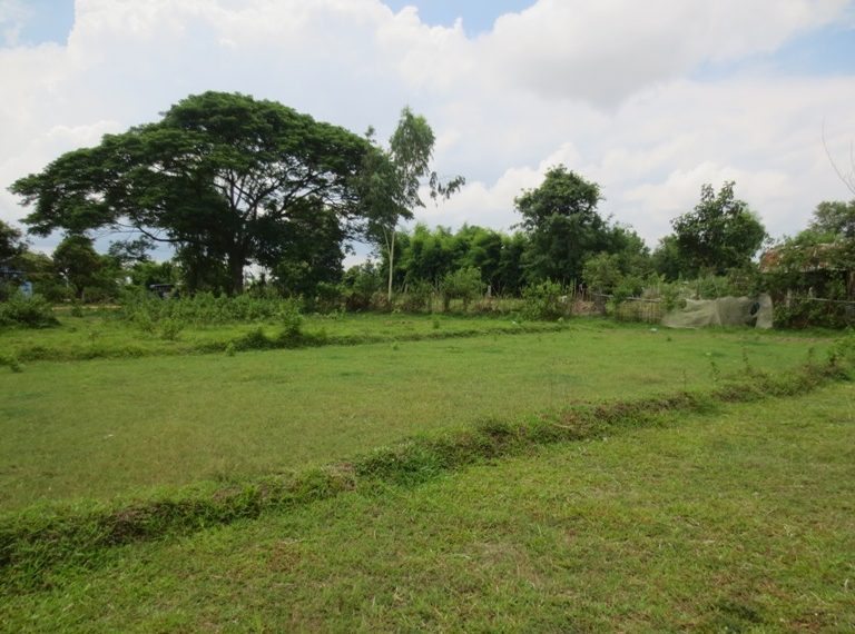 Land for sale (10)