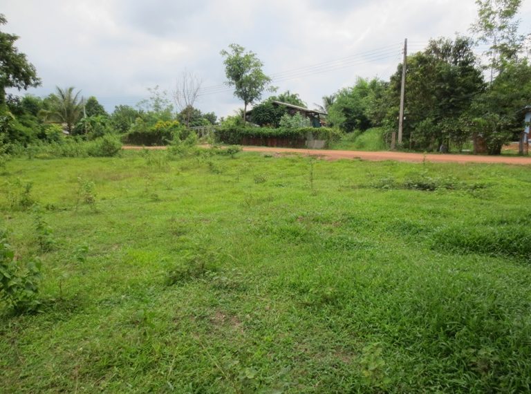 Land for sale (11)