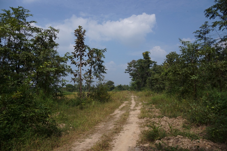 Land for sale  (11)