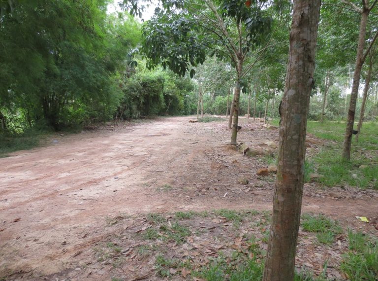 Land for sale (13)