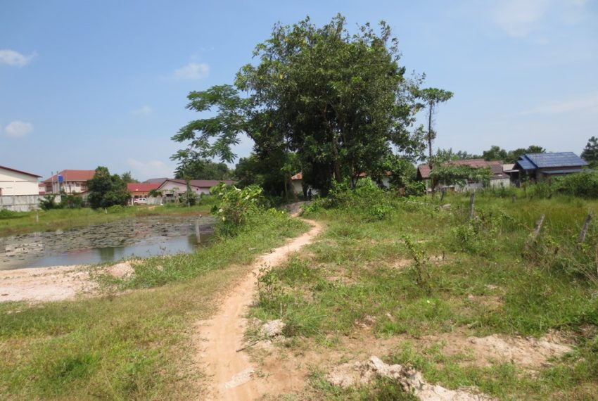 Land for sale (2)