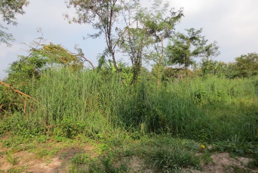 Land for sale (2)