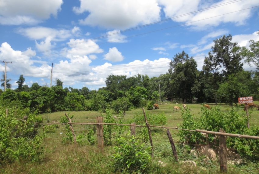 Land for sale (2)