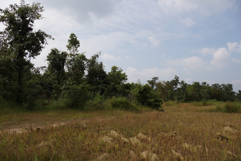 Land for sale  (2)