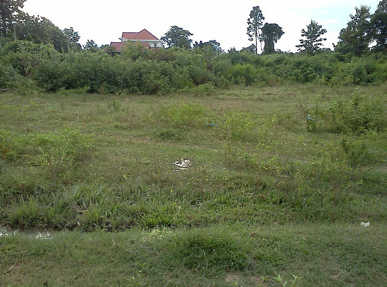 Land for sale  (2)