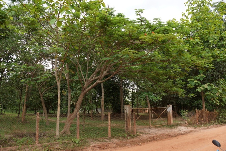 Land for sale (2)