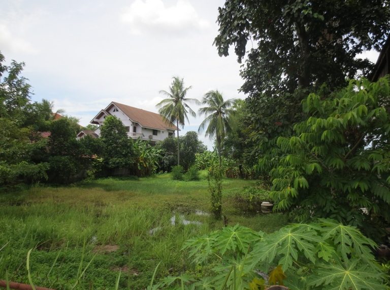 Land for sale (3)